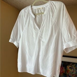 Everlane White Blouse